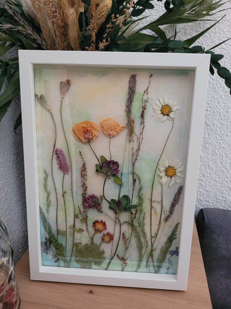 Sommerwiese